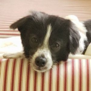 Meet your Posher, Barbara